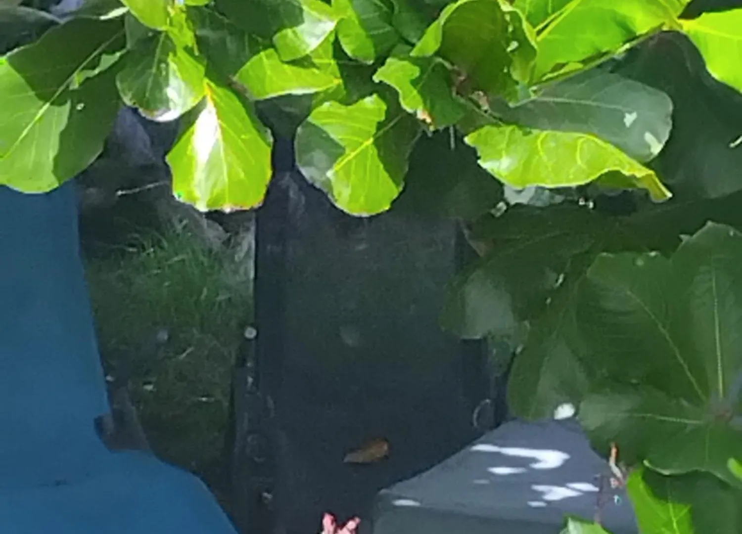 Konukevi La Casa Des Lucioles Otel Saint-Louis Guadeloupe