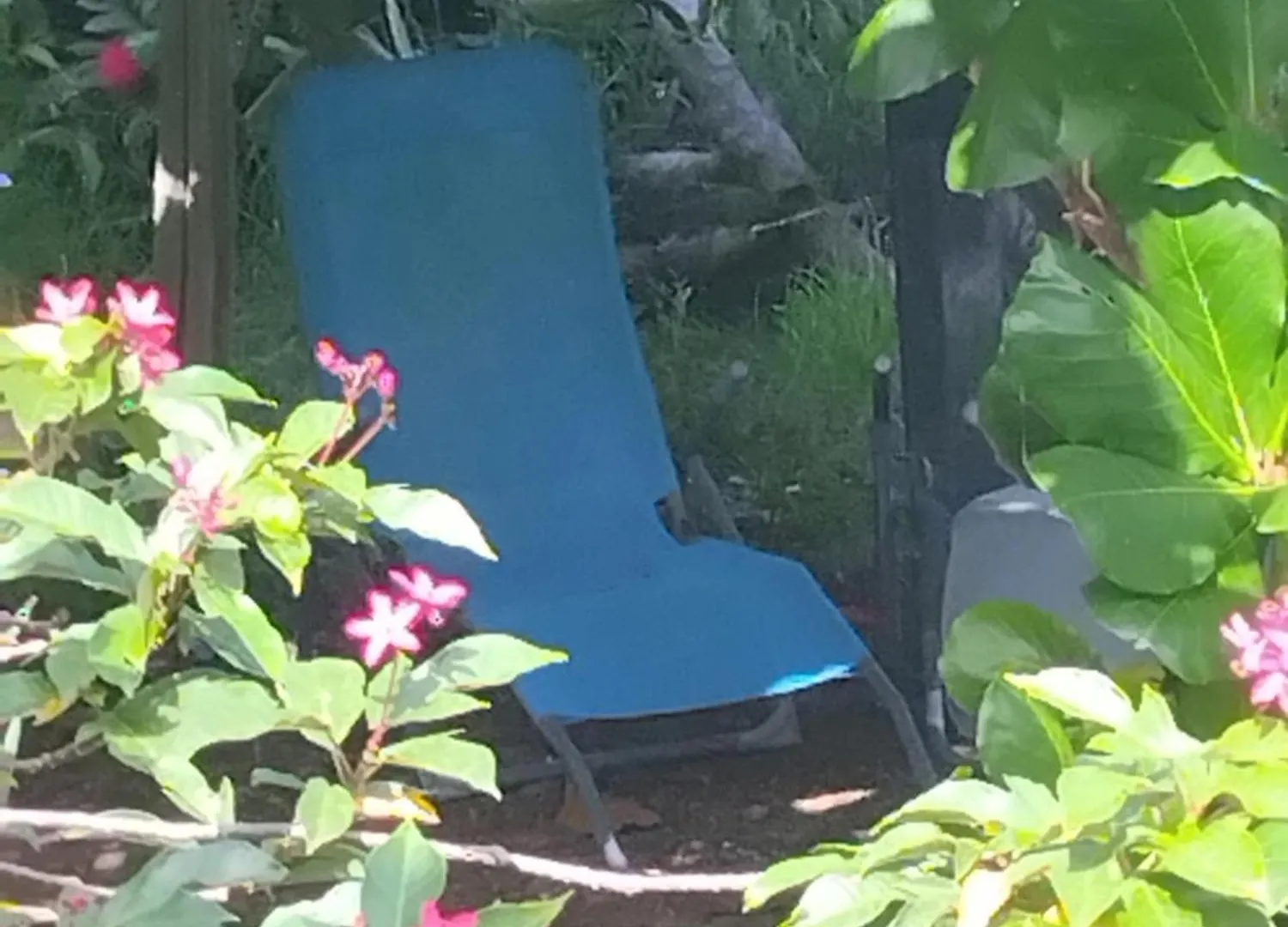 La Casa Des Lucioles Hotel Saint-Louis Guest house